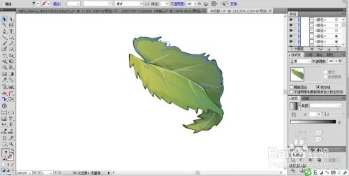 鸡冠花图片设计