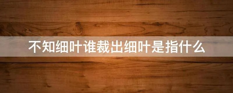 不知细叶谁裁出细叶是指什么