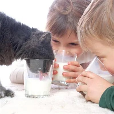 丙肝的症状有哪些症状