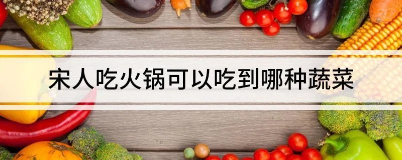 宋人吃火锅可以吃到哪种蔬菜