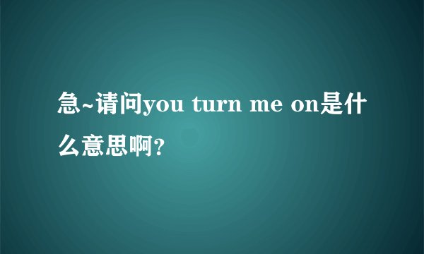 急~请问you turn me on是什么意思啊？