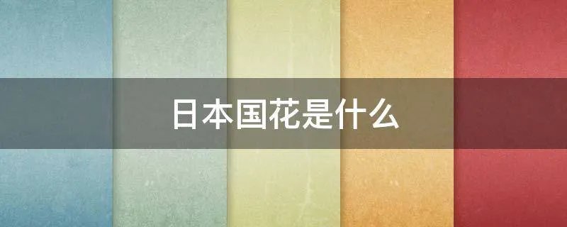 日本国花是什么
