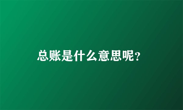 总账是什么意思呢？