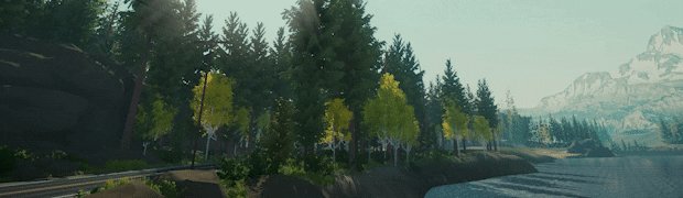 Lake有什么特色内容