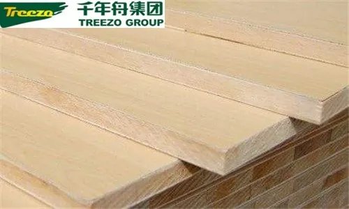 生态免漆板的十大排名  生态免漆板什么牌子好