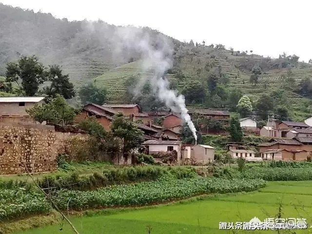 人生最后高加林娶了谁