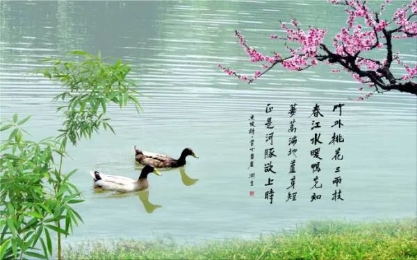 竹外桃花三两枝,春江水暖鸭先知的意思是什么？急！急！急！