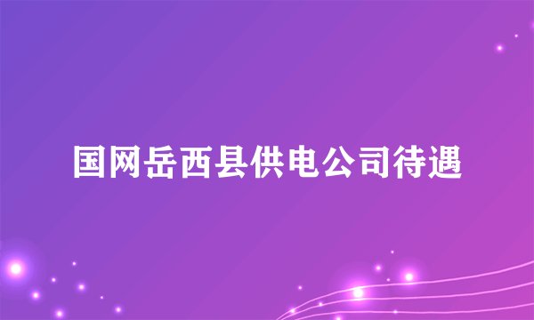 国网岳西县供电公司待遇