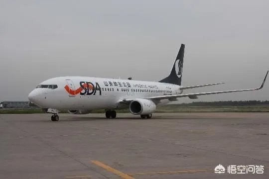 家长掩护孩子坐飞机逃票，全机乘客重新安检，你怎么看？