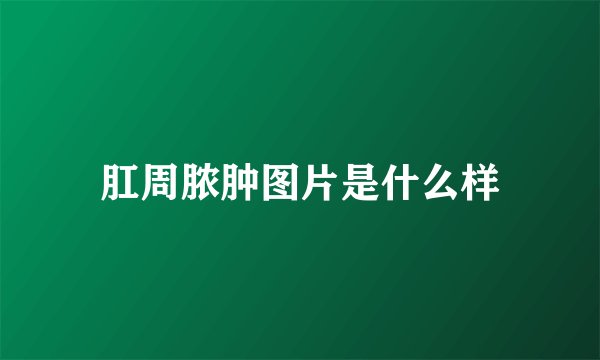 肛周脓肿图片是什么样
