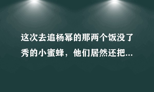 这次去追杨幂的那两个饭没了秀的小蜜蜂，他们居然还把蜜蜂的概念给弄错了，居然还到了一个养蜂园去淘了一