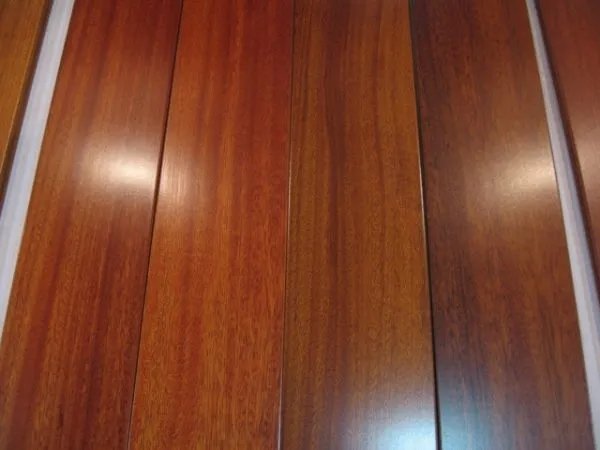 重蚁木属于什么档次