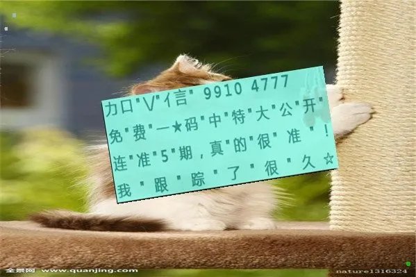 十二生肖中（天马行空）是指哪一个生肖？