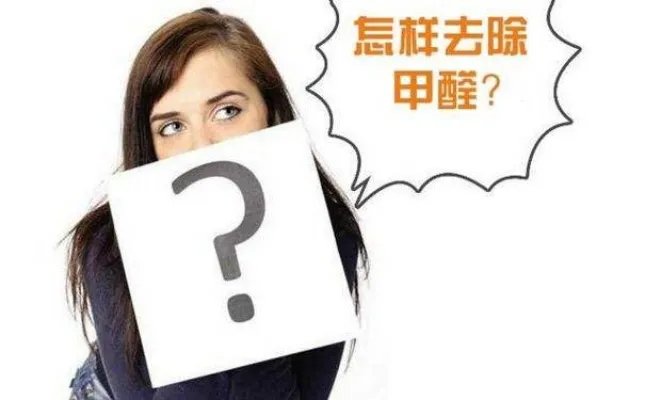 去甲醛公司真的有用么？