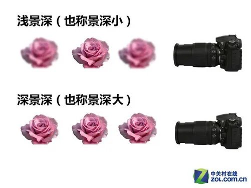 从零学摄影第二期 景深和它的决定因素