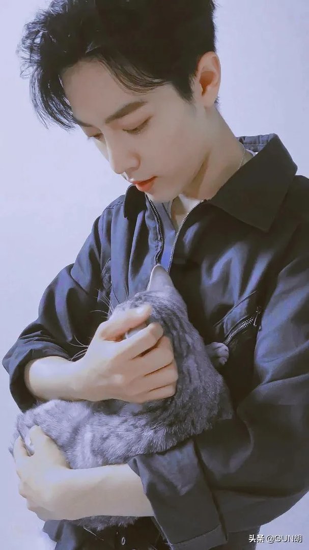 大家有肖战、王一博的壁纸吗，分享一下