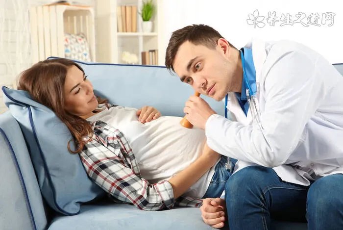 扁豆的功效与作用