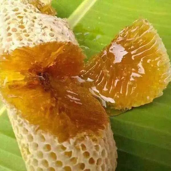 云南西双版纳有哪些特产_云南西双版纳十大特产推荐