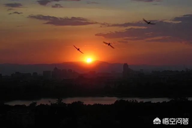 上联:日近西山倦鸟归，西来庵怎么对？