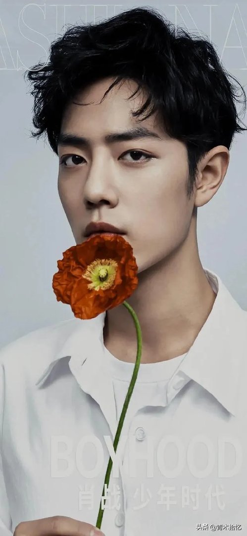 大家有肖战、王一博的壁纸吗，分享一下