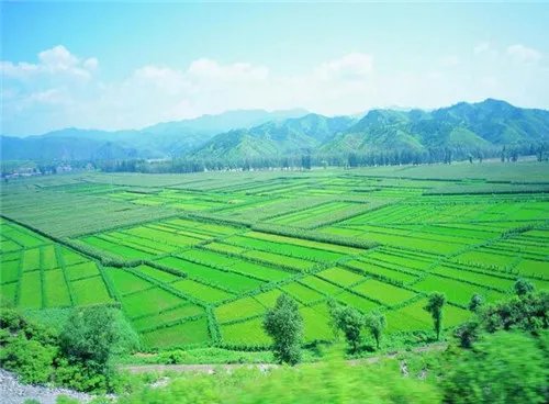 流转的意思是什么