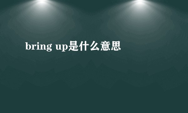 bring up是什么意思