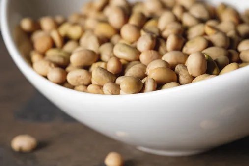 黄豆水的功效与作用