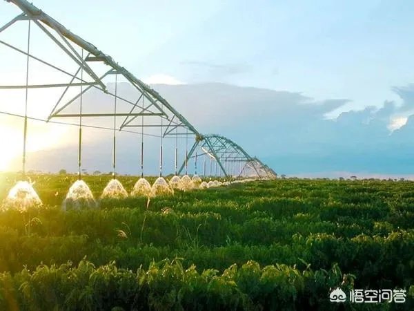 什么是设施农业？