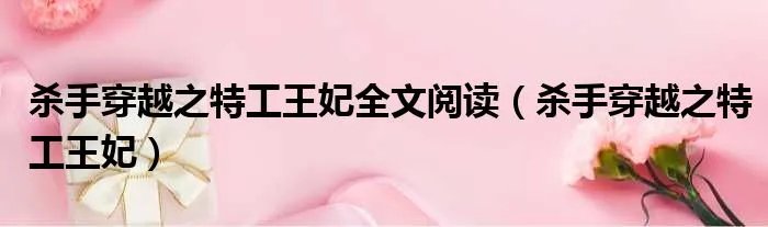 杀手穿越之特工王妃全文阅读（杀手穿越之特工王妃）