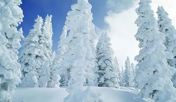 雪是怎么形成的呢？