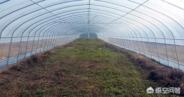 什么是设施农业？