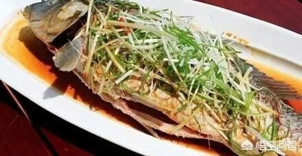 鲤鱼怎么做好吃？