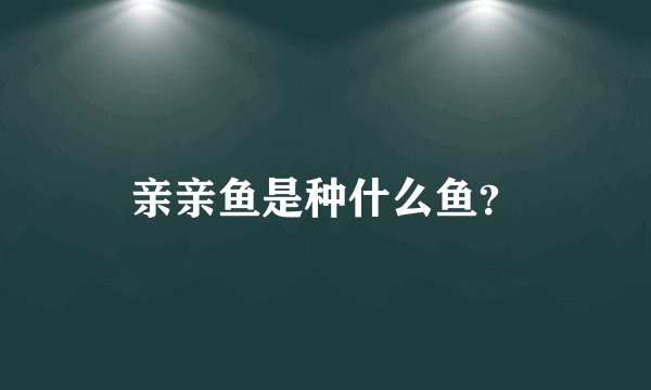 亲亲鱼是种什么鱼？
