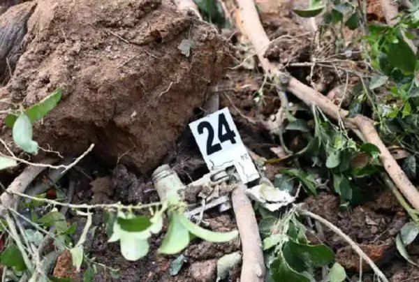 东航321空难事件,调查的怎么样了?