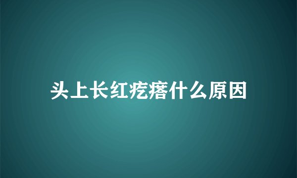 头上长红疙瘩什么原因