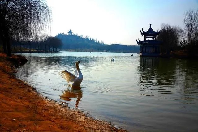 广平县有几个乡镇？