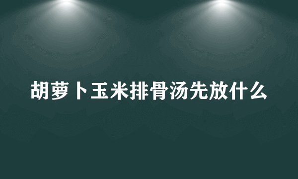 胡萝卜玉米排骨汤先放什么
