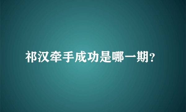 祁汉牵手成功是哪一期？