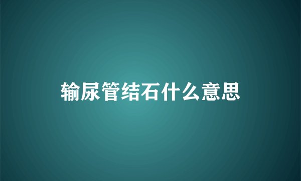 输尿管结石什么意思