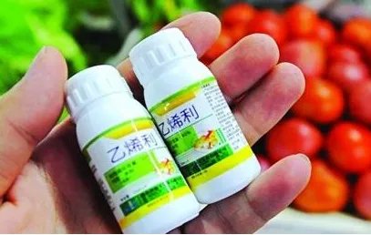 乙烯利的作用与功效分别是？