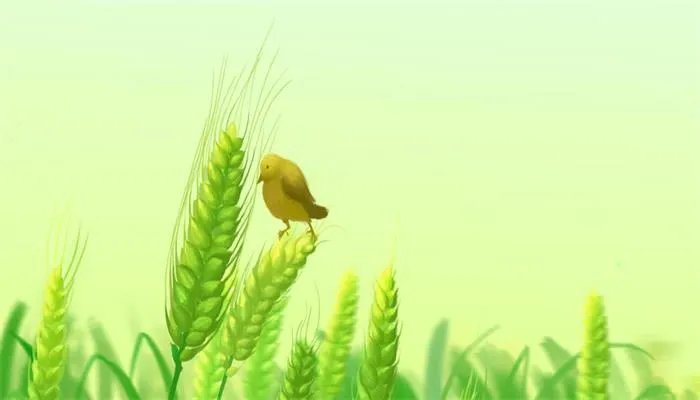 小满节气的含义是什么  小满节气的含义是什么呢