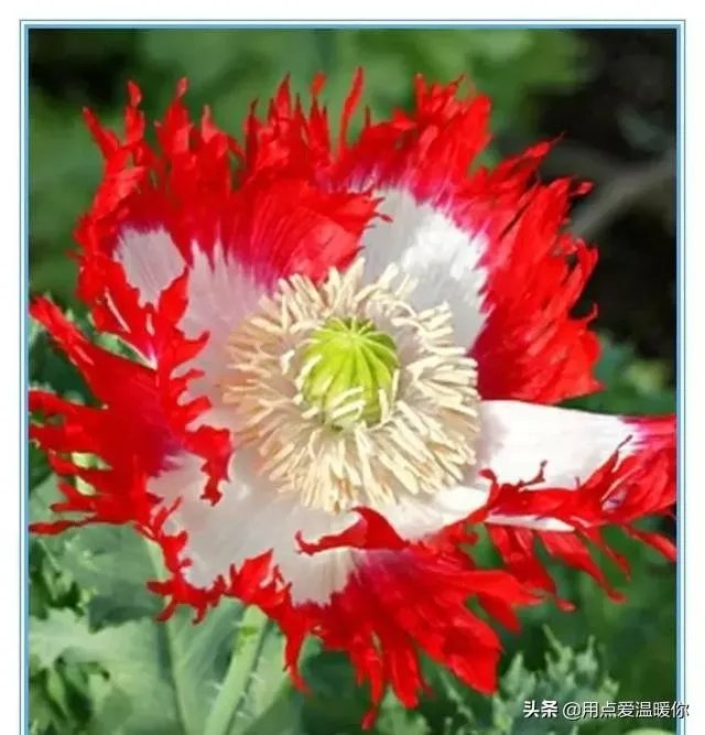 3月13日2021年上半年教师资格证考试开考，你考得怎么样？今年难度如何？