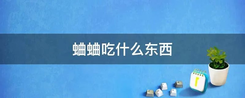 蛐蛐吃什么东西