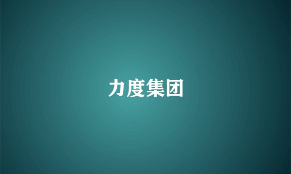 力度集团