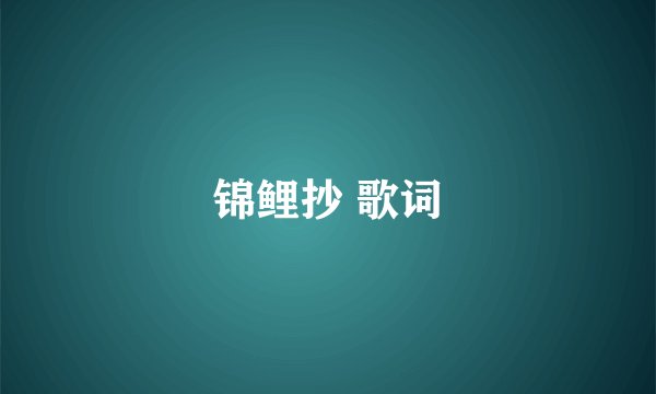 锦鲤抄 歌词