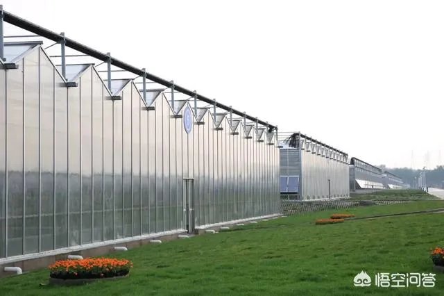 什么是设施农业？