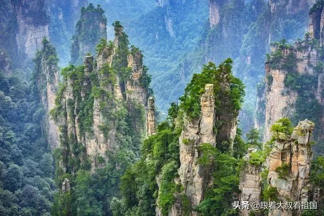 天门山国家森林公园  武陵源风景区区别
