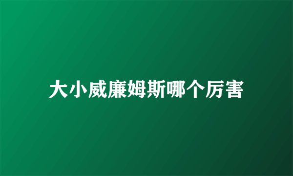 大小威廉姆斯哪个厉害