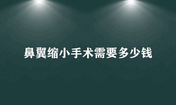 鼻翼缩小手术需要多少钱