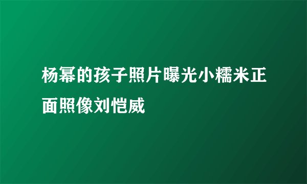 杨幂的孩子照片曝光小糯米正面照像刘恺威